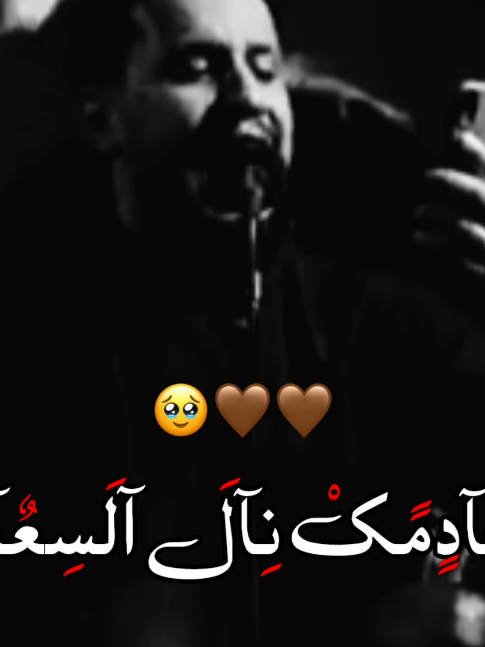 حبيبي الاولي هو الحسين ابن علي🥹🫶🏻 .  .  .  .  .  .  .  #احمد_الفتلاوي #حبيبي_الاولي #الامام_الحسين_عليه_السلام🍂 #قصائد_حسينيه #تصاميم_حسينية #الحسين_ثورة_خالده #السيدة_زينب_سلام_الله_عليها #الامام_الحسين_عليه_السلام #الامام_علي_عليه_السلام #يافاطمة_الزهراء #الامام_السجاد_عليه_السلام #شيعة_علي_الكرار #شيعة #ياعلي #foryou #foryoupage #viral #اكسبلورexplore #ياحسين #ياعلي #يابوفاضل 