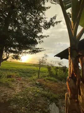 #🍃💞 🌅