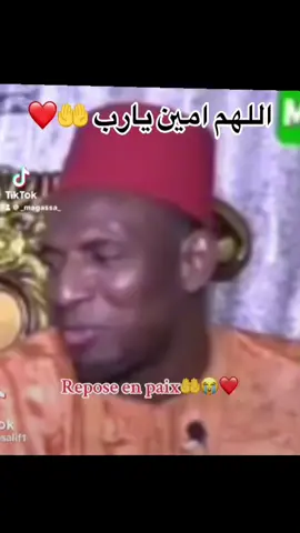 #creatorsearchinsights 