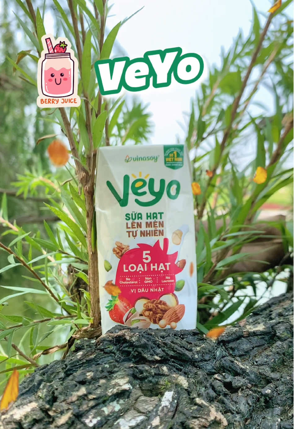 Sữa hạt lên men Veyo vị Dâu Nhật với 5 loại hạt uống thanh mát thơm ngon lắm nha 🍓🥛 #veyo #vinasoy #suahatveyo   #suahatlenmen #lasuanhunglamtuhat #suahat #suahatdinhduong #suahatlenmentunhienveyo #suahatveyo #suahatlenmenveyo #TikTokShop #MuaTaiTikTokShop #LearnOnTikTok #review #xuhuong #viral #food #foodtiktok #bonthichanngon #viral #xuhuong 