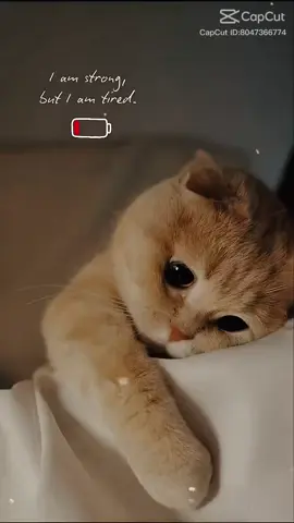I am strong, but I am tired…#CapCut #trending #chill #cute 