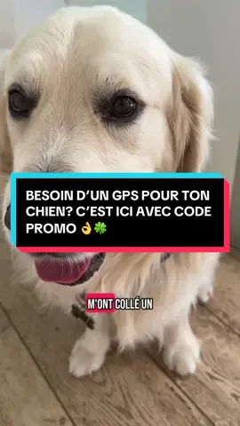 Collier connecté @Tractive Pet GPS  Profites de 40% de réduction avec le code: AMELIEETSTARCK40 Collier connecté pour chiens et chats : -suivi GPS en direct et alerte anti-fugue -suivi d’aboiements  -alerte de santé et moniteur d’activité  -suivi de la fréquence cardiaque et respiratoire  -grande autonomie jusqu’à 14h jours  -plus d’1 million d’utilisateurs font confiance à tractive 👌😍🐾 PROFITES-EN 🍀🍀🍀 #tractive #collierconnecté #gpschien #gps #chat #chien #goldenretriever #tractivegps 