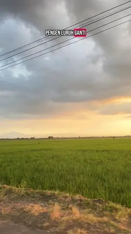 #xybca #fyp #fypシ゚viral #indramayu 