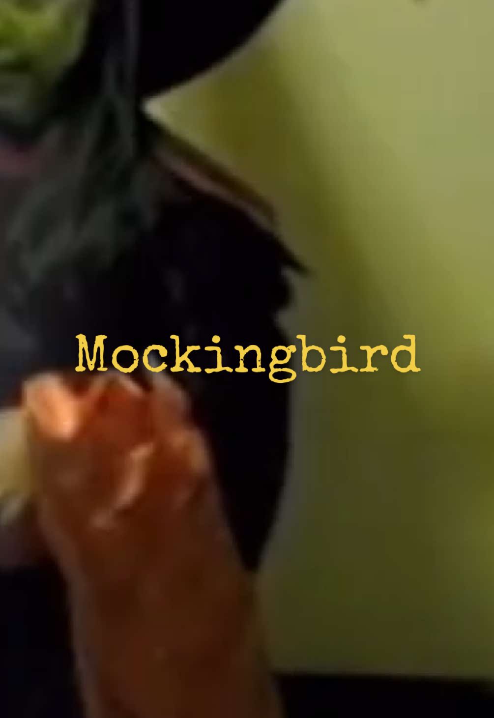 Mockingbird - #eminem #eminemrap #mockingbird #encore #lyric 