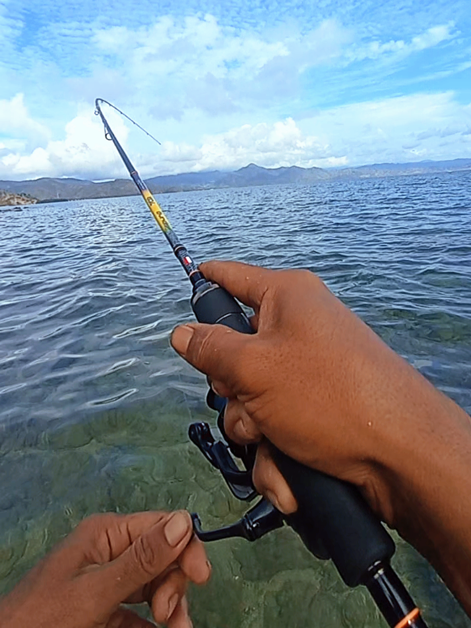 Minnow sinking 5 gram exsen terbaik bonus kotak umpan #modalkontendoang  #minnow #umpanmancing #umpanminnow #umpan #promomakangajian 