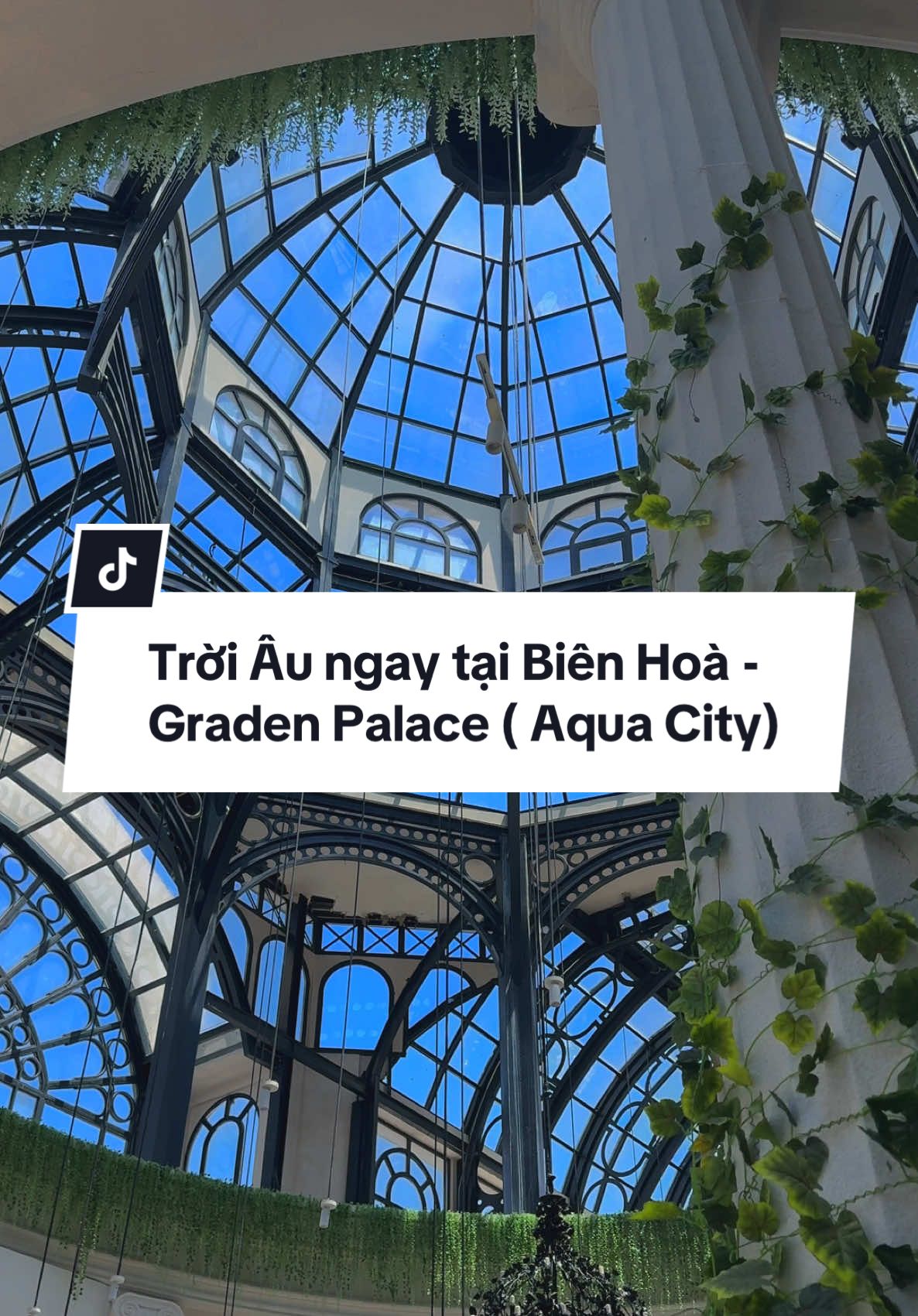 Top 1 những quá cafe nên tới khi tới Đồng Nai . Ta nói nó Sang - Xịn - Đẹp . Và cực kì rộng luôn nhen . Nằm trong khu Aqua City ,Quán cafe Graden Palace . Giá nước từ 60-90🌿. Và nếu bạn muốn có bộ ảnh ở đây thì lh mình nha 🫶#gradenpalace #aquacity #vietnam #trend #vietnamtravel #chuphinhbangdienthoai #chuphinhsongao #photophonebienhoa #photophone #photophonedongnai #cafedep #cafedepdongnai #xuhuong 