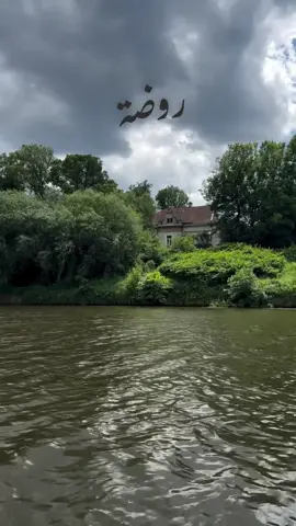 روضـه غـلاك بـداخلي وعـروق قلـبي لـك نـهـر ❤️ !