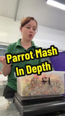 We’re getting ✨technical✨ 🦜 New series incoming? 👀  #parrot #nutrition #lwp #lincolnshirewildlifepark #parrotfood #Foodie #nutrients #vitamins #foryou #fyp #stem #STEM 