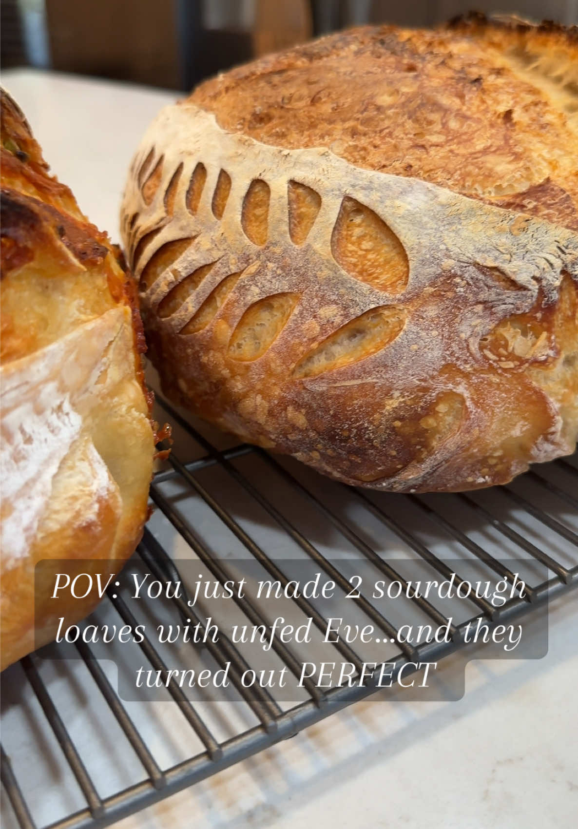 Unfed Eve showed up and made 2 delicious loaves of sourdough…I may be using this strategy more often!  #sourdough #sourdoughbaking #sourdoughbread #sourdoughstarter #sourdoughtok ough