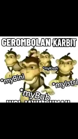 spam 