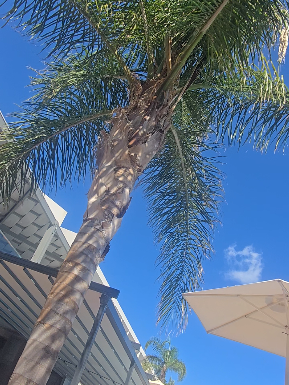 Zante Sun Resort 🌞 #vacation #Summer #greece #ionianislands #zakynthos #zante #greektiktok #greekislands 