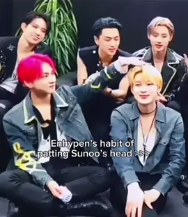 That’s their baby #sunoo #enhypen #heesun #sunjay #sunjake #sunsun #sunwon #sunki #fyp #foryou 