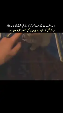 معصوموں کے خون کے چھینٹوں کا حساب بہت سخت ہے#foryou #dontunderreviewmyvideo #foryou #dontunderreviewmyvideo #foryou #dontunderreviewmyvideo 