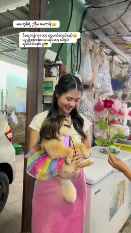 မမဘန်လေး လှလားဗျ🤭  #fyp #foryou #dogsoftiktok #မမဟုန် #စွာတေးလန်😁😁 #တိချစ်သူများအတွက်သာ #ဘန်ဘန်🐾 