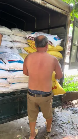 Luôn luôn đồng hành cùng các Bác chăn nuôi trong lúc khó khăn  #xuhuong #xuhuongtiktokk 