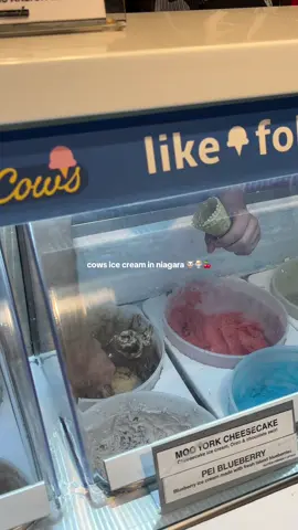 the ice cream was so creamy and the employees were the sweetest 🥹🥹 #cowsicecream #niagaraontario #niagaraonthelake 