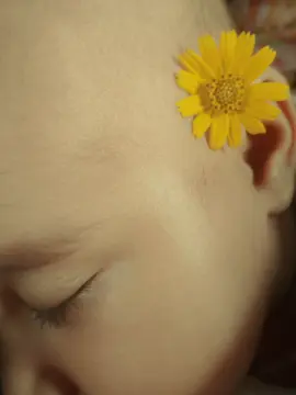 #My little flower 🌼🥀🥰👀#biralvideo #foryoupage #CapCut @israfil khan i❤️‍M👑♡︎ 
