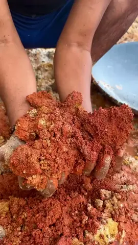 #goldnugget #goldrush #goldenretriever #fyp 