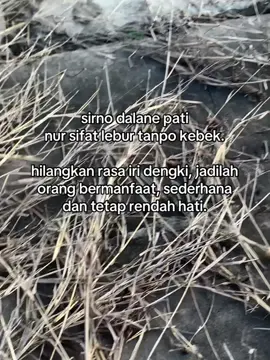 #fyp #psht #pshtpusatmadiun #pshtblitar #pshtstory #psht1922 #pshtjaya 