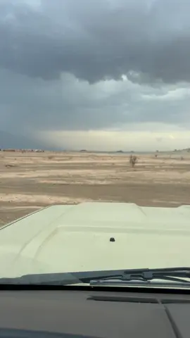 #بيشه_الجنوب #امطار_الخير #الابل 