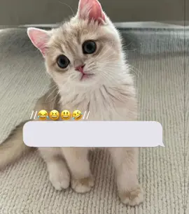 😃🤭😜😂#foryou 