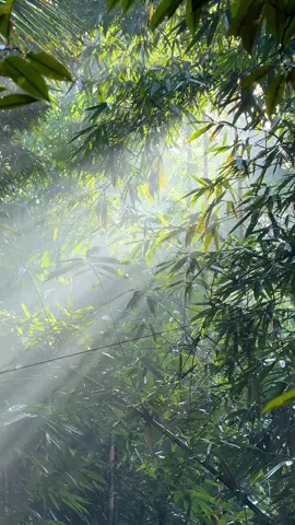 #CapCut sound kane nih 🤤 aees cinematic 🍃#fyp #aeestemplate 