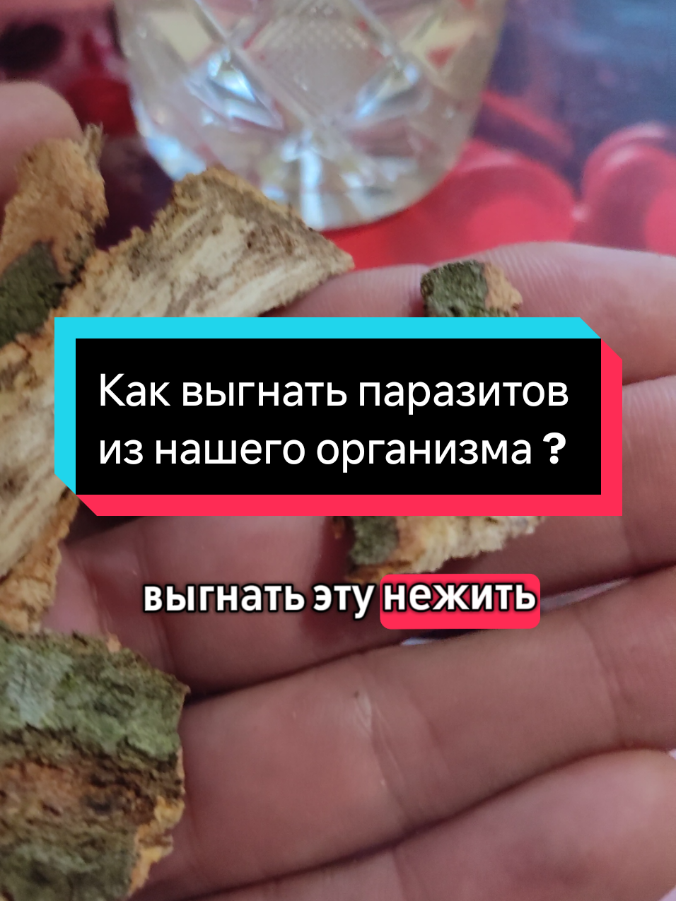 Как выгнать паразитов из нашего организма ?
