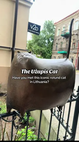 The full poem by Jonas Gelčys: “Touch my ear - have no fear  You, hey, you! Come closer.  Oh come on, be brave. Let’s start living with no fear.  Let’s start living with no fear. … no fear to meet new friends. Even if that friend is a cat sculpture.  … no fear to help others. Or ask help for yourself.   … no fear to reach for something you desire. Or let it go.  … no fear to believe in crazy things. Even if no one around is believing.  … no fear to move mountains. Even with bare hands.  … no fear to dream, speak, love, change, create, forgive…  The Cat of Užupis is rather special.  Friendly scratch his ear a little, start believing in miracles and you will walk away with no fear of living. Truly living.  YOU CAN: stay close, snuggle, talk with the Cat, be silent together, take pictures.  YOU SHOULDN’T: move the fence, sit on the Cat, try to do Cat a makeover” #uzupiokatinas #vilnius #lithuania #catlover #funnycat #catart 