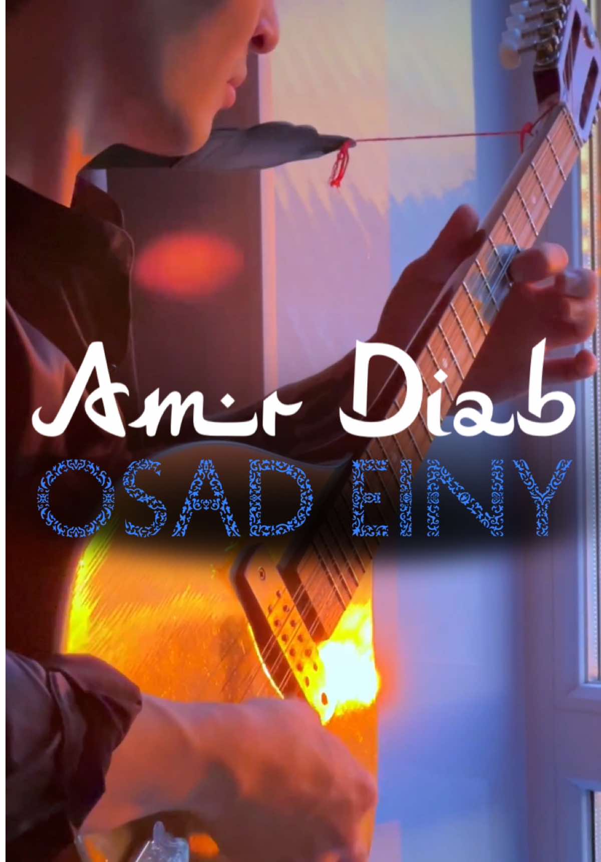 #amrdiab #osadeiny #bouzouki #rec #fyp #arabicmusic #song #popular #musica #guitar #nature #solo #covers #videoviral 