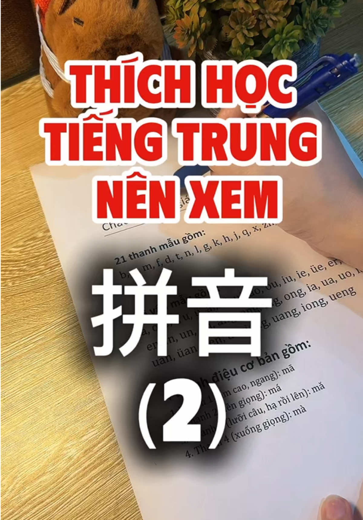 Học Tiếng Trung là học những gì ? Mời các bạn xem nhé ! #tuhoctiengtrung #tiengtrunggiaotiep #tiengtrungmoingay #LearnOnTikTok #fyp 