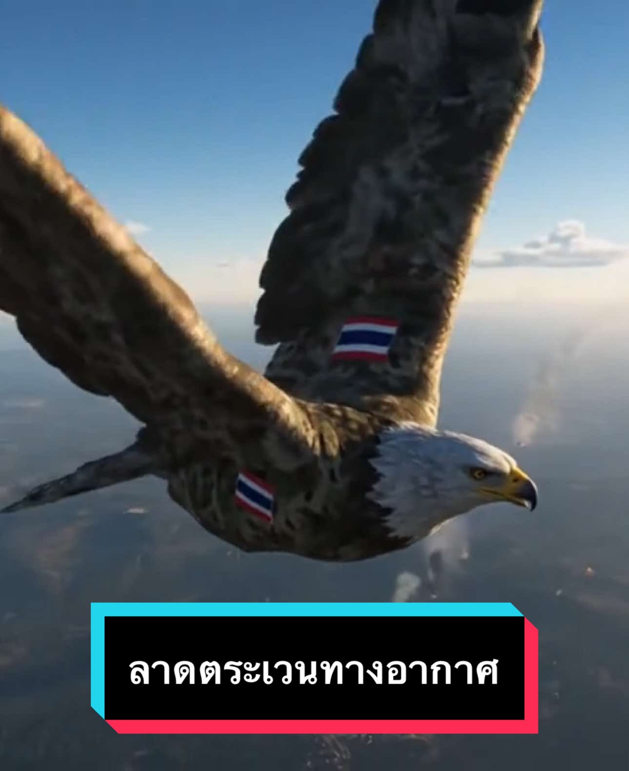 ลาดตระเวนมุมสูงพร้อม!!!#CapCut #เทรนวันนี้ในtiktok #ทหาร #ทหารอากาศ #อินทรี อินทรี (Eagle) เป็นนกล่าเหยื่อขนาดใหญ่ที่มีความสง่างาม น่าเกรงขาม และมีบทบาทสำคัญในหลายวัฒนธรรมทั่วโลก ประวัติของอินทรีนั้นเกี่ยวพันกับการเป็นสัญลักษณ์ของอำนาจ ความแข็งแกร่ง และการมองการณ์ไกลมาอย่างยาวนาน ลักษณะทั่วไปและพฤติกรรม  * ขนาด: อินทรีเป็นนกที่มีขนาดใหญ่ โดยทั่วไปมีปีกที่กว้างและแข็งแรง ทำให้สามารถบินได้สูงและกว้างไกล  * สายตา: อินทรีมีสายตาที่เฉียบคมเป็นเลิศ สามารถมองเห็นเหยื่อจากที่สูงได้ในระยะทางไกลๆ  * กรงเล็บและจะงอยปาก: มีกรงเล็บที่ทรงพลังและจะงอยปากที่แข็งแรงและแหลมคม เหมาะสำหรับการจับและฉีกเหยื่อ  * แหล่งที่อยู่อาศัย: พบได้ทั่วโลก ยกเว้นทวีปแอนตาร์กติกา โดยมักอาศัยอยู่ในพื้นที่ที่มีป่าไม้ ภูเขา หรือใกล้แหล่งน้ำที่อุดมสมบูรณ์ไปด้วยปลา อินทรีในเชิงสัญลักษณ์และวัฒนธรรม อินทรีถูกนำมาใช้เป็นสัญลักษณ์ในหลายวัฒนธรรมมาตั้งแต่สมัยโบราณ เนื่องจากคุณลักษณะที่โดดเด่นของมัน:  * สัญลักษณ์ของชาติ: อินทรีหัวขาว (Bald Eagle) เป็นสัญลักษณ์ประจำชาติของสหรัฐอเมริกา อินทรีทอง (Golden Eagle) เป็นนกประจำชาติของเม็กซิโก แอลเบเนีย และเยอรมนี (ไม่เป็นทางการในอียิปต์)  * ป่าหิมพานต์ของไทย: ในวรรณคดีไทย อินทรีเป็นสัตว์ชนิดหนึ่งที่ปรากฏในป่าหิมพานต์  * ความแข็งแกร่งและอำนาจ: อินทรีมักถูกเชื่อมโยงกับความแข็งแกร่ง ความกล้าหาญ และอำนาจในการปกครอง  * การมองการณ์ไกล: สายตาที่เฉียบคมของอินทรีทำให้มันเป็นสัญลักษณ์ของการมองการณ์ไกลและวิสัยทัศน์ที่กว้างไกล  * การเกิดใหม่/การเปลี่ยนแปลง: มีความเชื่อและเรื่องเล่าเกี่ยวกับวงจรชีวิตของอินทรีที่เมื่อถึงวัยชรา จะมีการเปลี่ยนแปลงตนเอง เช่น จะงอยปากและกรงเล็บที่ยาวและโค้งงอจะหลุดออกเพื่อให้งอกใหม่ ทำให้สามารถล่าเหยื่อและใช้ชีวิตต่อไปได้ ซึ่งเป็นสัญลักษณ์ของการฟื้นฟูและการเปลี่ยนแปลงตัวเองไปสู่สิ่งที่ดีขึ้น (แม้ว่าเรื่องเล่านี้จะมีการโต้แย้งทางวิทยาศาสตร์ก็ตาม) ชนิดของอินทรีที่สำคัญ อินทรีมีหลายชนิดทั่วโลก แต่ละชนิดมีลักษณะและถิ่นที่อยู่อาศัยที่แตกต่างกันไป ตัวอย่างเช่น:  * อินทรีหัวขาว (Haliaeetus leucocephalus): เป็นอินทรีทะเลขนาดใหญ่ พบในทวีปอเมริกาเหนือ มีชื่อเสียงจากการเป็นสัญลักษณ์ของสหรัฐอเมริกา เคยเป็นสัตว์ที่ถูกคุกคามจากการใช้สารเคมีดีดีที แต่ปัจจุบันมีจำนวนเพิ่มขึ้น  * อินทรีทอง (Aquila chrysaetos): เป็นหนึ่งในนกนักล่าที่รู้จักกันดีที่สุดในซีกโลกเหนือ พบได้ในหลายทวีป เป็นนกที่มีขนาดใหญ่และทรงพลัง  * อินทรีทะเลปากขาว (Haliaeetus leucogaster) หรือนกออก: พบในประเทศไทยและเอเชียตะวันออกเฉียงใต้  * อินทรีดำ (Ictinaetus malayensis): เป็นอินทรีอีกชนิดที่พบในประเทศไทย อินทรีจึงไม่ได้เป็นเพียงแค่นกนักล่าที่น่าเกรงขามเท่านั้น แต่ยังเป็นสัญลักษณ์ที่มีความหมายลึกซึ้งและเป็นส่วนหนึ่งของประวัติศาสตร์และวัฒนธรรมของมนุษย์มาอย่างยาวนาน