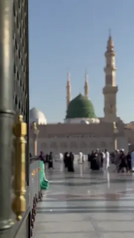 مدينه حياتي يارسول الله #المدينه_المنوره_الان #المسجد_النبوي #البقيع_مطلبنا #اكسبلورexplore_o🤭❤_تصويري #هشتاقاتي_الترند_المشهور #الاحساء_الهفوف_الشرقيه_اكسبلور #هشتاقاتي_الترند_المشهور 