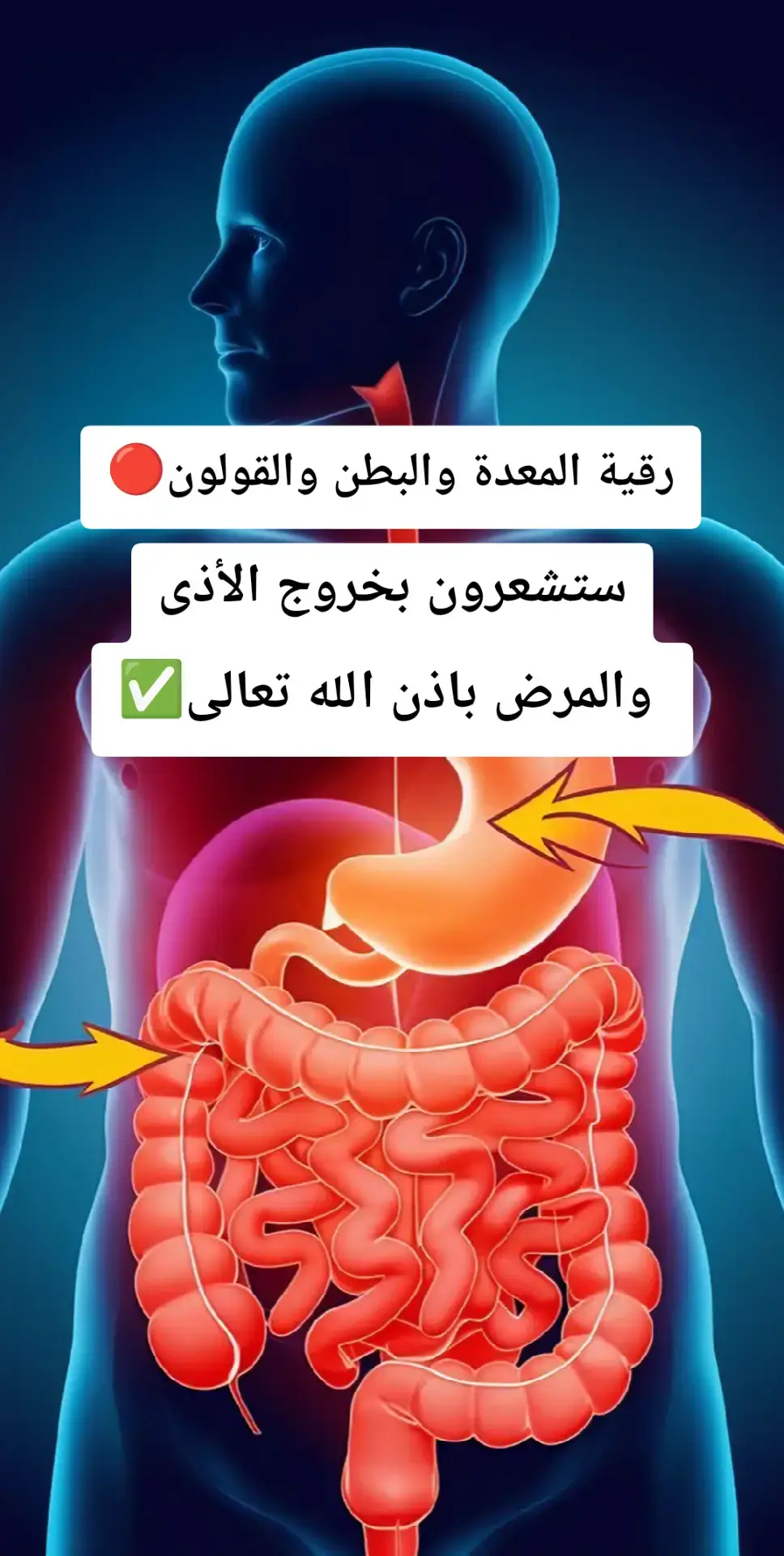 رقية المعدة والبطن والقولون ستشعرون بخروج الأذى والمرض باذن الله تعالى #طبيب_تيك_توك #رقية #رقية_شرعية #fyp #صلوا_على_رسول_الله #فوائد_صحية #القولون_العصبي #المعدة #الجهاز_الهضمي 