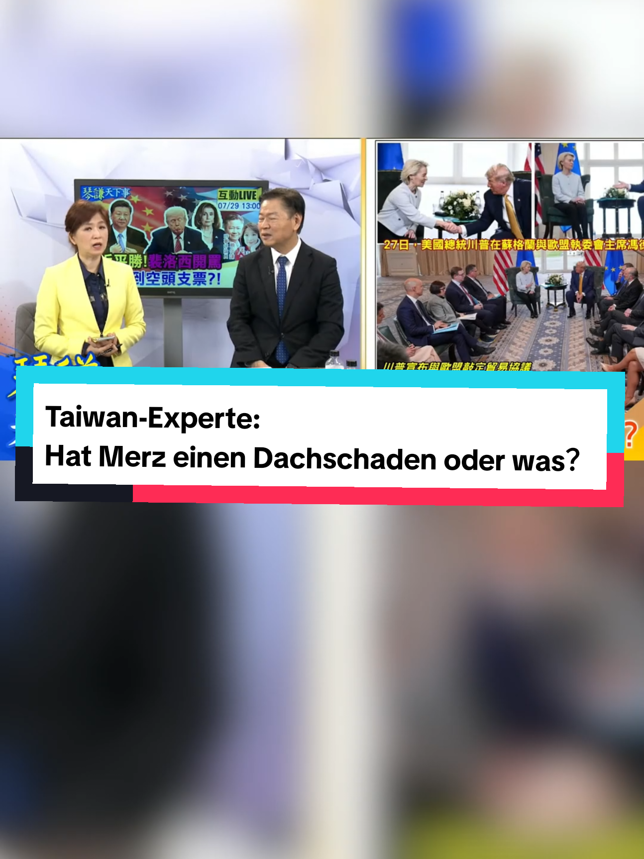 Taiwan-Experte: Hat Merz einen Dachschaden oder was?#fürdich #merz #vonderleyen #cdu #afd #politik #deutschland 