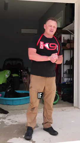 Heat stroke in dogs can happen FAST. If your dog shows signs like stumbling, vomiting, or seizures—cool them FIRST before heading to the vet. That extra step could save their life. Watch now. Share with another Dog Owner. Want to learn how to make your dog listen to you every time? Check out the full episode on our YouTube Channel: LINK IN BIO! Also, check out DIYK9.com for all of our courses, recommendations, links, and more. #HeatStrokeInDogs #DogFirstAid #DIYK9 #dogtrainingtips #emergency #dogcare #caninehealth