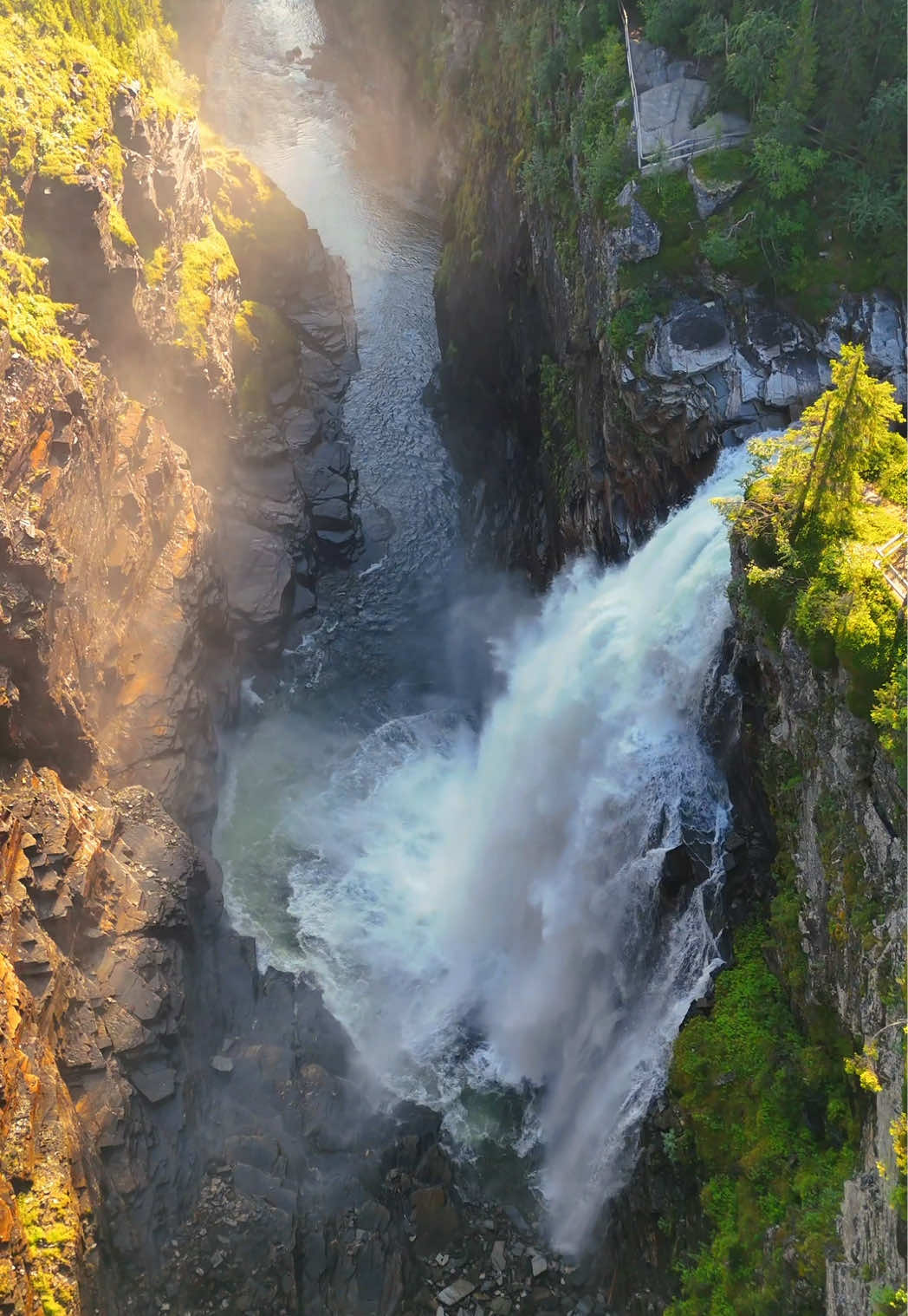 📍 Hällingsåfallet, Jämtland, a 43-meter free-falling waterfall into one of Europe’s longest water canyons. There’s a beautiful drive here and it’s just a short walk from the parking lot. Don’t miss this spectacular sight 😍 #sweden #visitsweden #travel #sverige #solotravel #hällingsåfallet #fyp #waterfall 