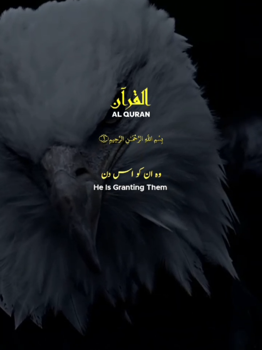 Surah Al Nahal, Verse:61 Surah Al Ibraheem, verses:42-43 Surah Al Qalam, verse:44 Sural Al Mulk, verse:2 Sural Al Ambiya, verse:23❤✨ #quran_recitation_143 #peace #sound 