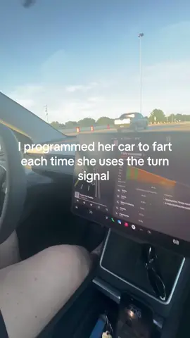 #tesla#fartsarefunny##roadtrip @Lisa D 