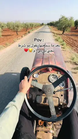 #عفرين_راجو_بلبل_شيه_جنديرس_معبطلي  #عفرين #جنديرس #ترند 