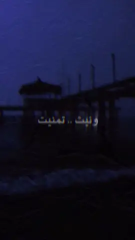 ياريتك حي تلقاه 💔 .. #ياحسين #اهل_البيت_عليهم_سلام #عاشوراء #كربلاء #يازينب_يامولاتي #سكينة #باسم_الكربلائي #جابر_الكاظمي #fyp 