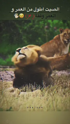 #fyp #foryou #foryoupage #fypツ #viral #dah7dor #عباراتكم_الفخمه📿📌 