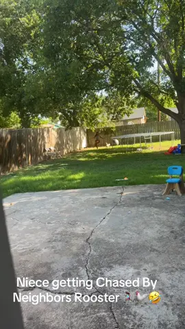 I can Laugh About this Now!! #Rooster #RunNieceRun #Tuesday #Scary 