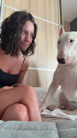 Preduhitria me debil #dogmom #bullterrier #psi #foryoupage #fyp 