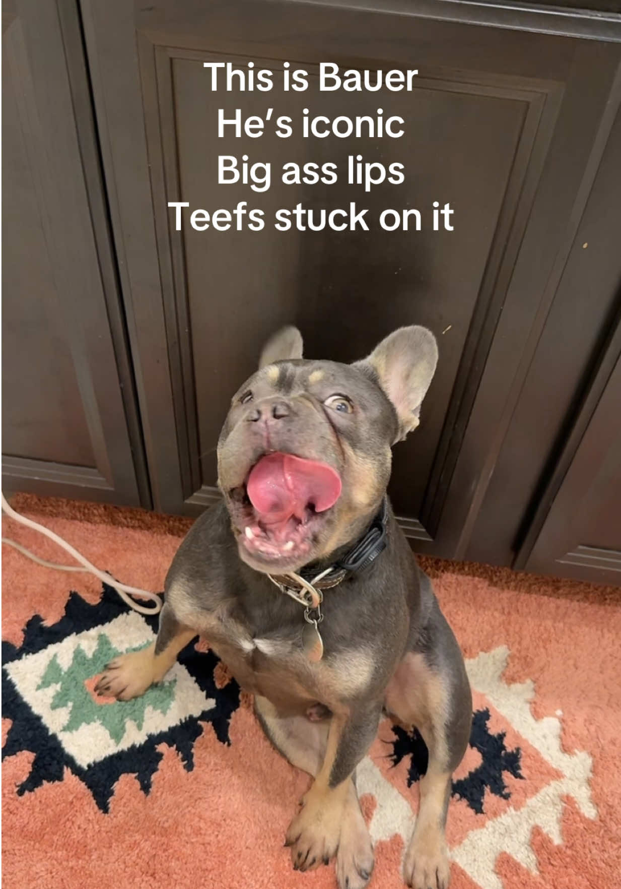 I had to 😂 #ThatsMyBaby #GoBaby #JustinBieber  #HesIconic 