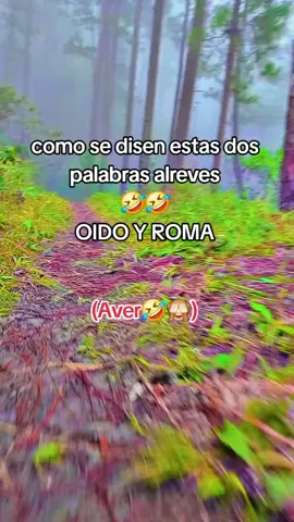 #frases #chistes #🤣😂🙈viral #