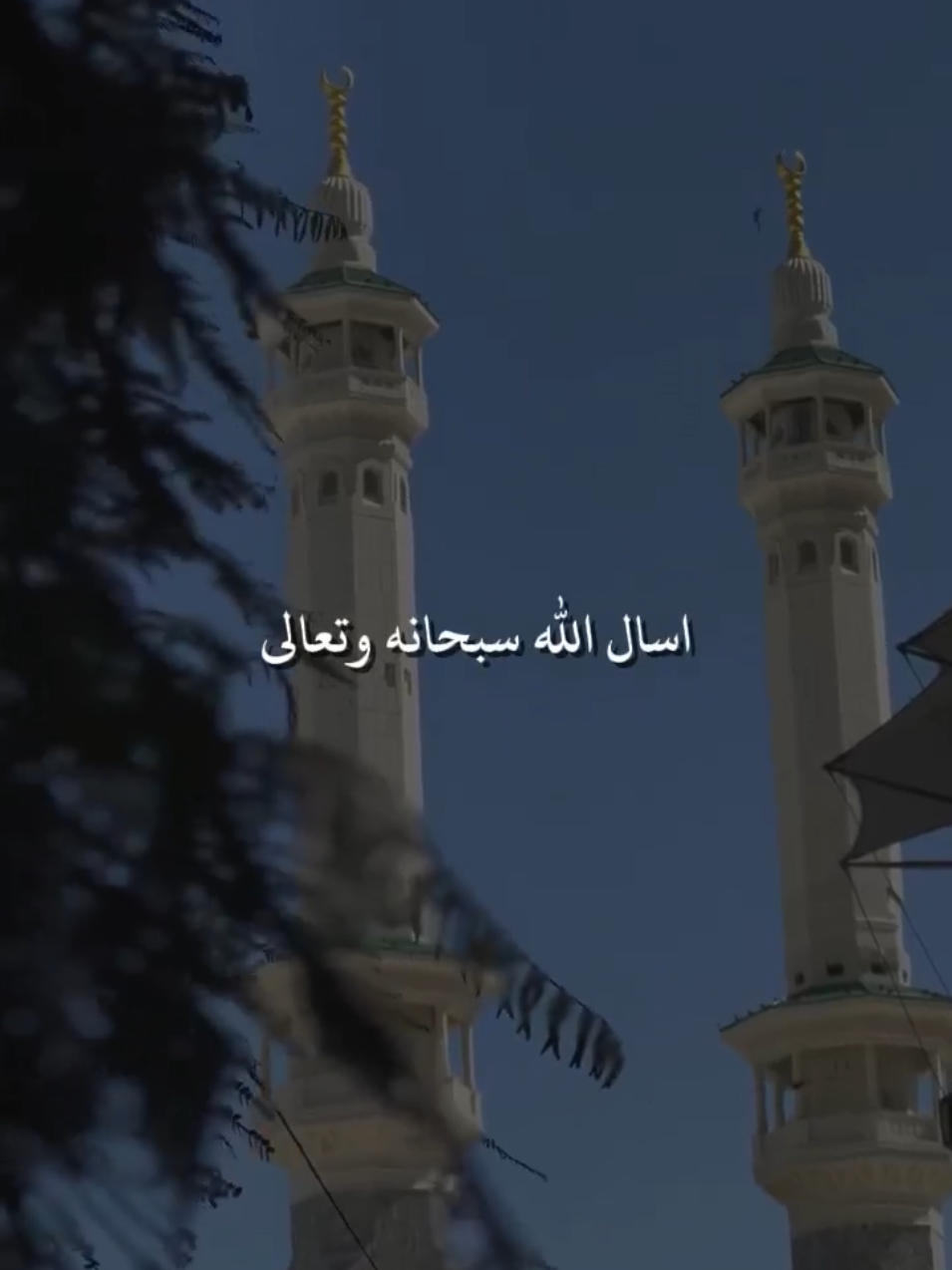 #اللهم ارزقناء رزقاء حلال#ادعيه #يارب #اللهم_امين_يارب_العالمين🍀 #parati #trending #fyp #xuhuong #quotes #fyppppppppppppppppppppppp 