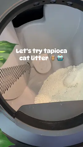 NOT sponsored: So far, I really like this! 🧋✨ I’ll keep you updated after the kitties use it for a bit to see if it holds up with the Litter-Robot 🤖 Also, does tapioca smell like ice cream or am I losing it? 🍦😅 #newlitter #testing #catmom #tapiocalitter #moonforestpet #moonforestlitter #tapiocacatlitter #healthycatlitter #catlittertest 
