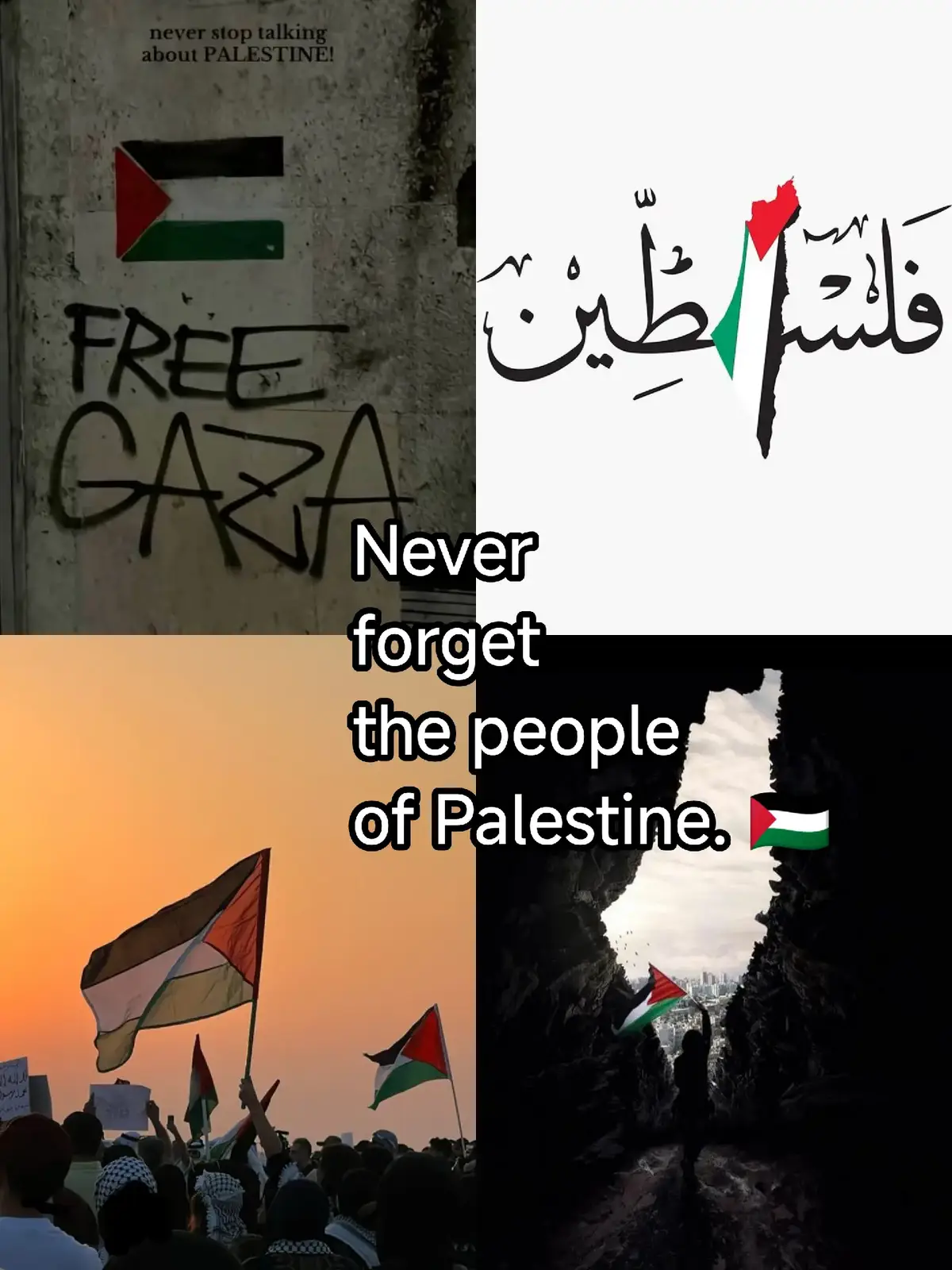 Free Free Palestine..🇵🇸 Gaza will be free InshaAllah AMEEN 