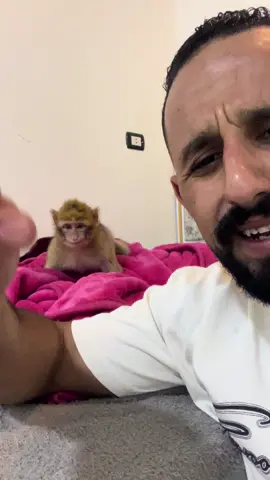 يا بداره ليه ليه لييييه😂😂😂😂😂😂#حيوانات_ابو_اسيا 