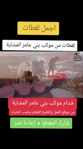 #موكب_بني_عامر  #خدام_الحسين  #بني_عامر #خدام_الامام_الحسين  #مشاية_الامام_الحسين #البصرةكربلاء__بغداد_الحبيبه_الناصريه #البصرة #موكب_بني_عامر_البصرة #مشاية 